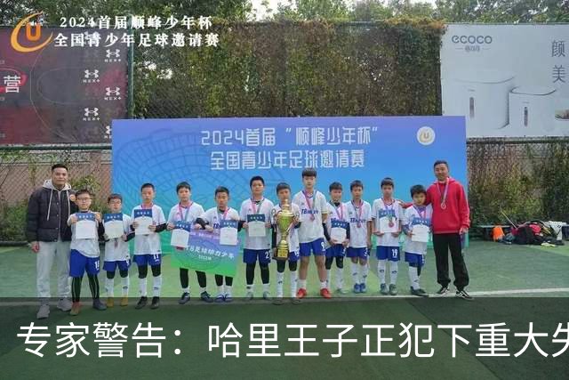 专家警告：哈里王子正犯下重大失误，或将彻底断送王室和解机会