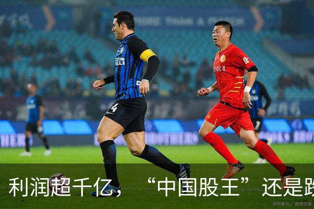利润超千亿，“中国股王”还是跌疼了股民