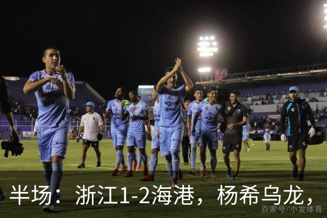半场：浙江1-2海港，杨希乌龙，梅伦多、安佩姆破门