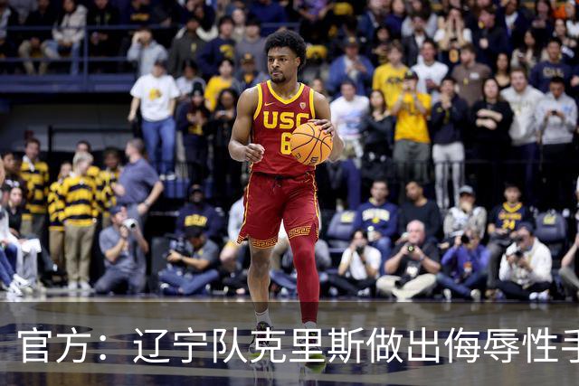 官方：辽宁队克里斯做出侮辱性手势罚款5万元；乌戈罚款1万元