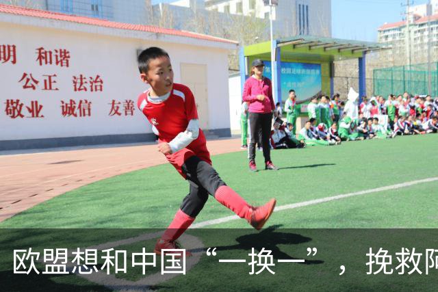 欧盟想和中国“一换一”，挽救阿斯麦企业，方案中国未必会同意