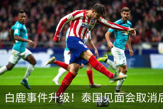 白鹿事件升级！泰国见面会取消后，缅北视频又被扒，黑历史曝光