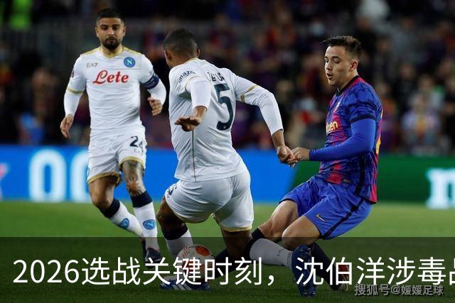 2026选战关键时刻，沈伯洋涉毒品视频疯传！赵少康已成为重要变数